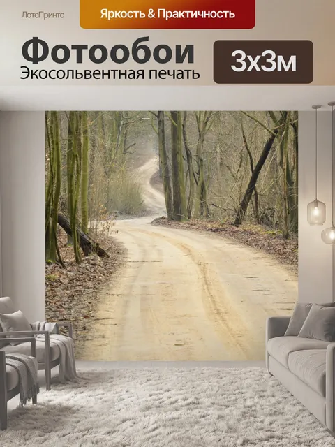 Фотообои Путь