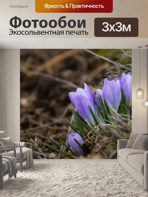 Фотообои Цветы