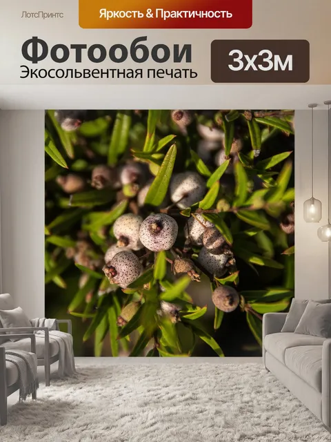 Фотообои Ягоды