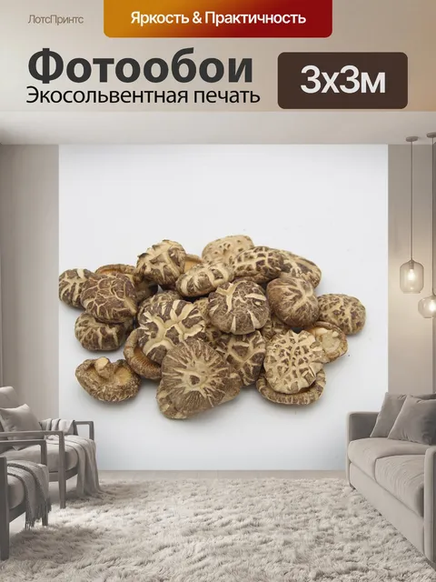 Фотообои Гриб