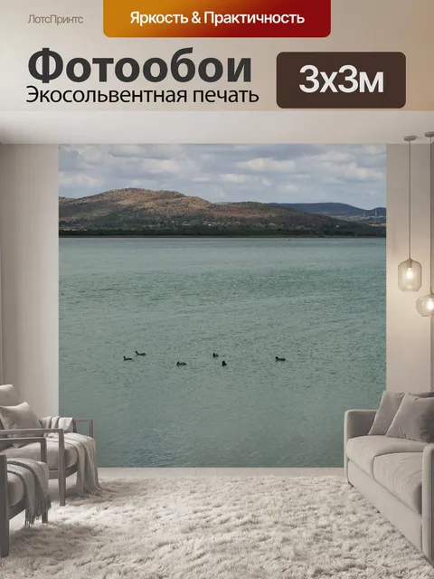Фотообои водоплавающих птиц на дамбе
