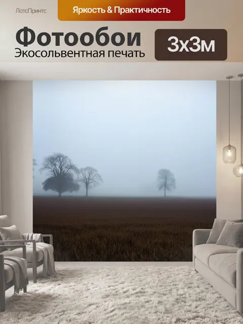 Фотообои поле, покрытое чумазым туманом, с таинственными силуэтами деревьев, создающим атмосферу ожидания