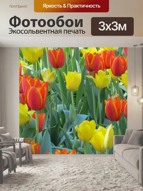 Фотообои Желтые и красные тюльпаны