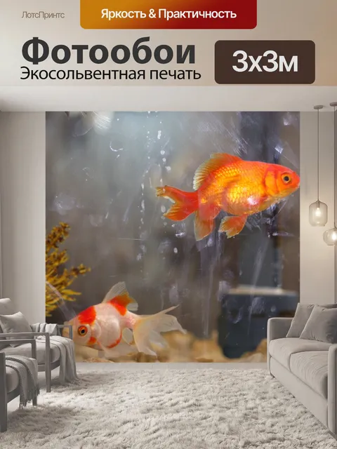 Фотообои Золотая рыбка