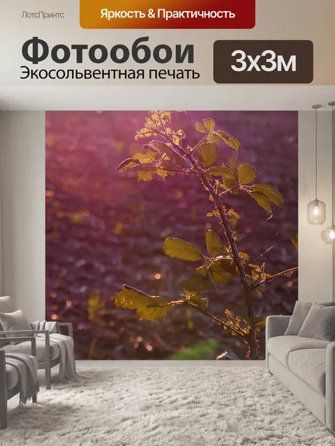 Фотообои Роуз