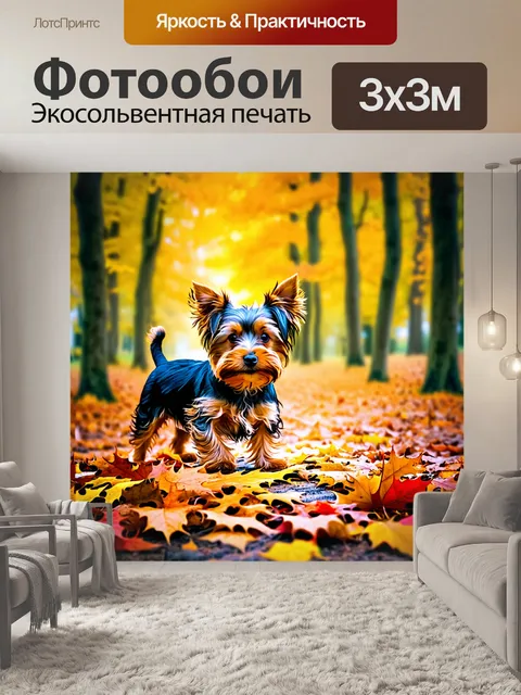 Фотообои йоркширский терьер, играющий с осенними листьями в лесу, покрытом золотыми и красными оттенками