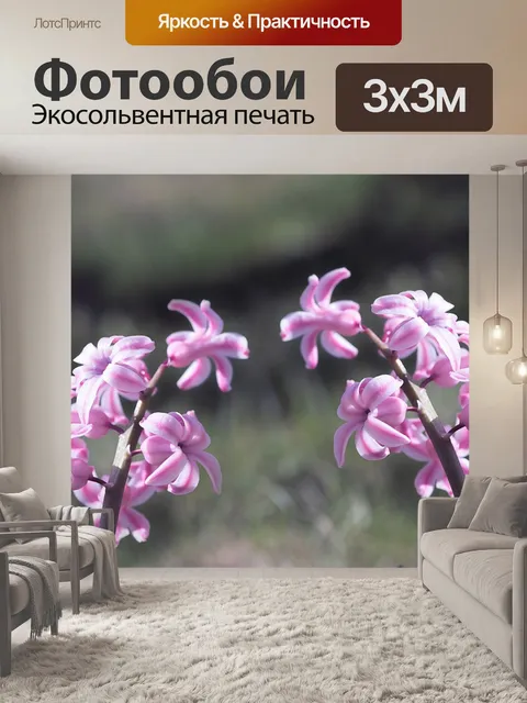 Фотообои Гиацинты