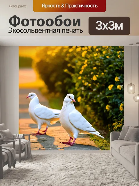 Фотообои Два белых голубя, один из которых с маленьким хохолком, стоят на каменной дорожке