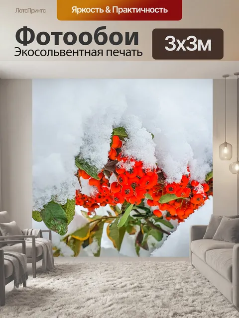 Фотообои красные ягоды, покрытые снегом
