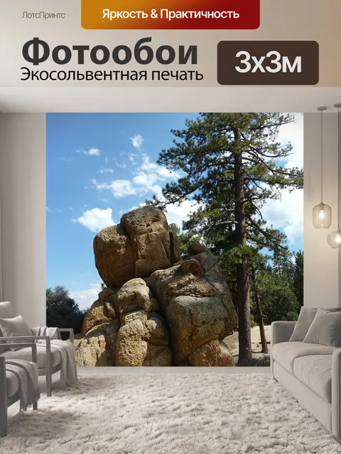 Фотообои Большой медведь