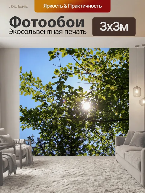 Фотообои Солнце