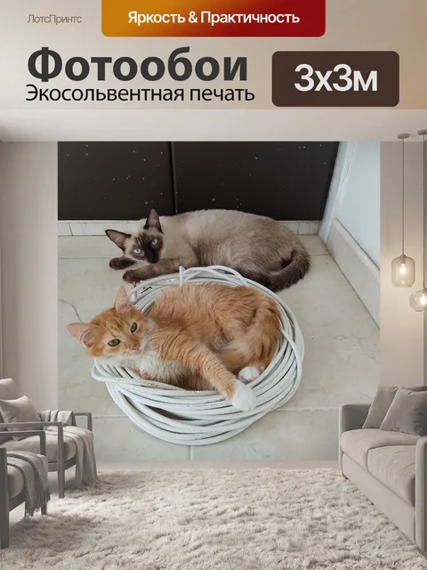 Фотообои Кошки