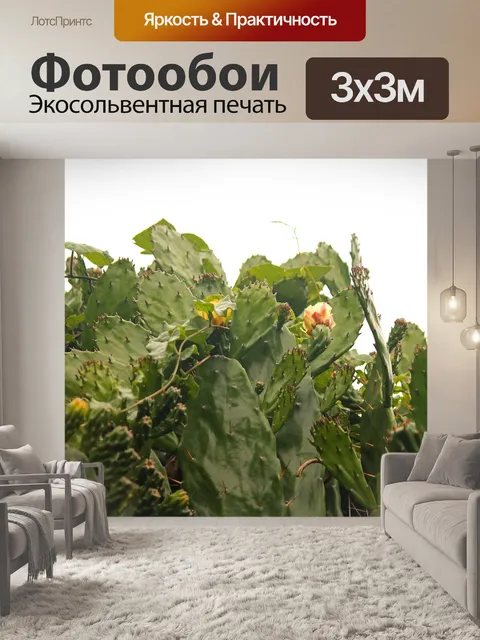 Фотообои опунция с оранжевыми цветами