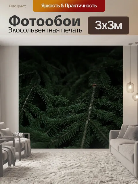 Фотообои Темный