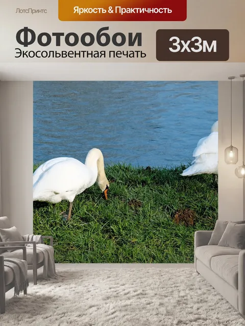 Фотообои Лебеди