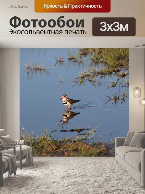 Фотообои Птица