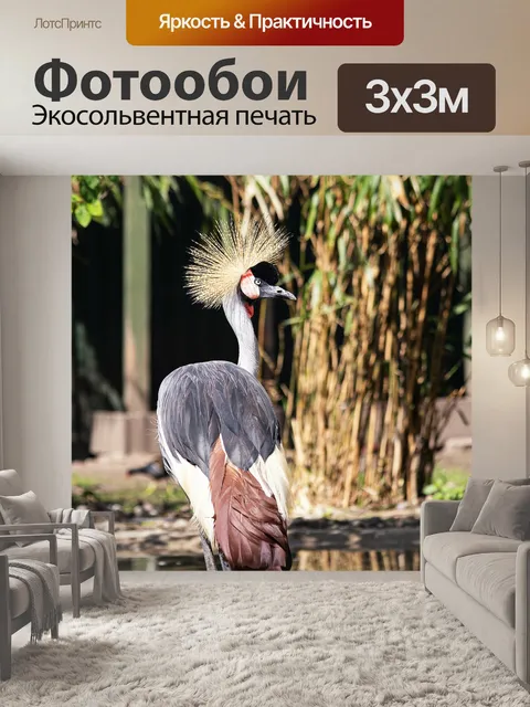 Фотообои Венценосный журавль