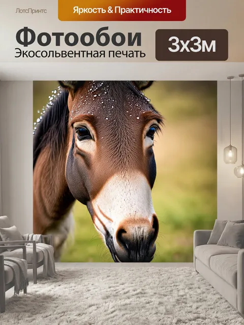 Фотообои кадр крупным планом ушного осла с капельками росы на его шерсти, придающим свежесть утру