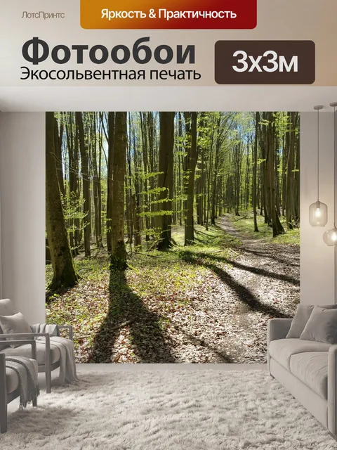 Фотообои Дорога в лесу