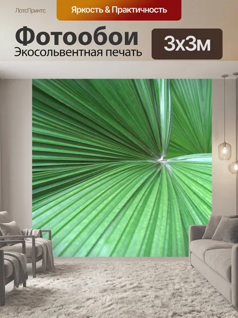 Фотообои Пальмовых листьев фона