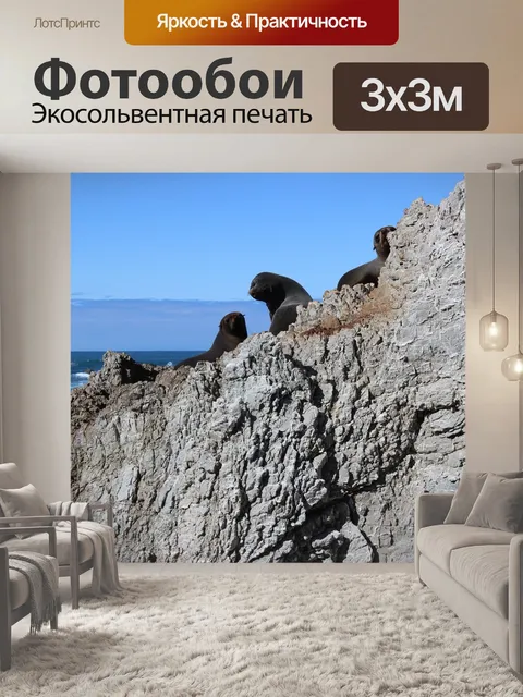 Фотообои Уплотнения