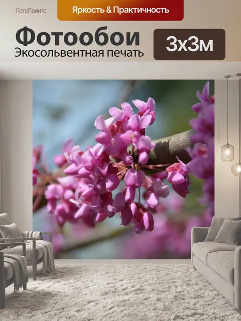 Фотообои Редбад