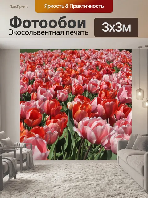 Фотообои Розовые и красные тюльпаны