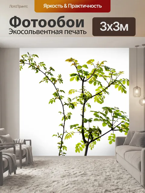 Фотообои зеленые листья и ветви