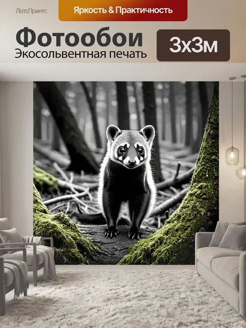 Фотообои черно-белая фотография куницы