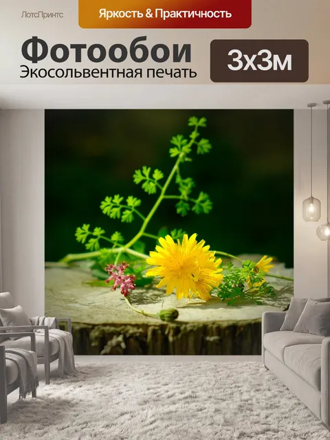 Фотообои Натюрморт