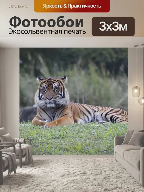 Фотообои Животное