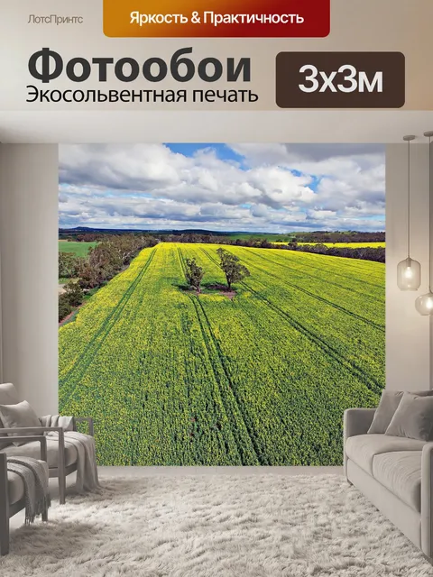 Фотообои Весна канолы Поля