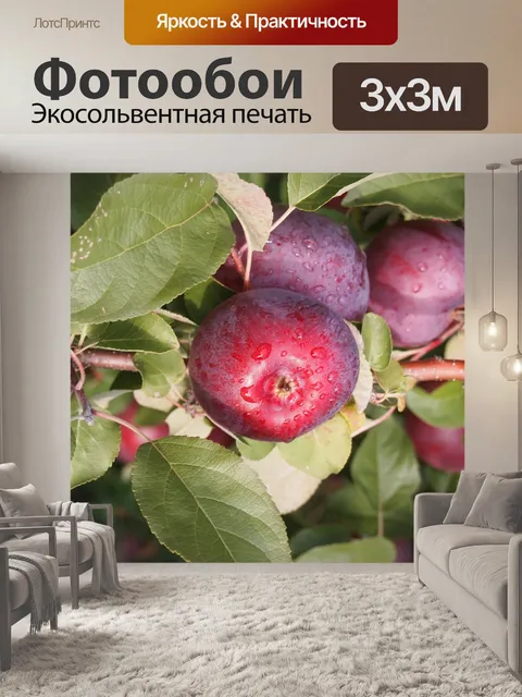 Фотообои Яблоко