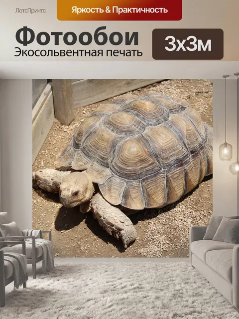 Фотообои Черепаха