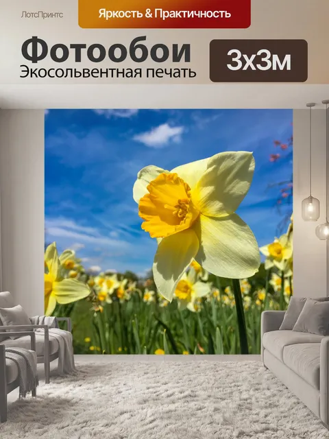 Фотообои Желтый нарцисс