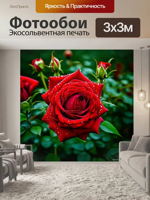 Фотообои красные розы, окруженные каплями росы