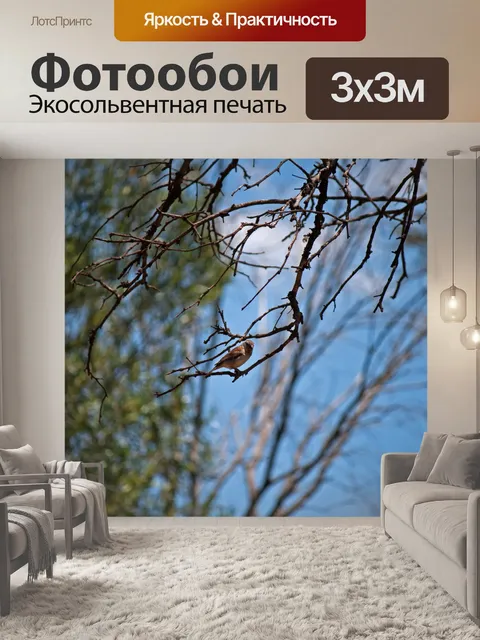 Фотообои Воробей сидит на ветке