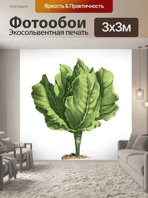 Фотообои Салат Винтаж Овощное Искусство