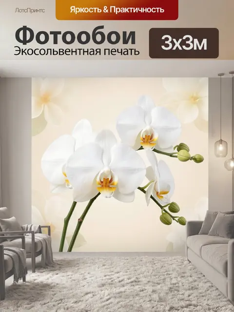 Фотообои Белые орхидеи с бутонами