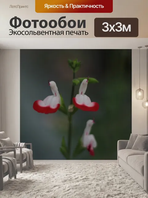 Фотообои Сальвия горячие губы