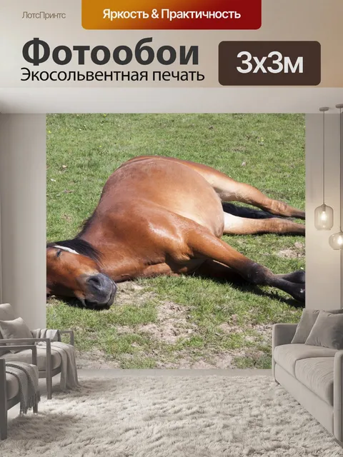 Фотообои Верховая Спящая