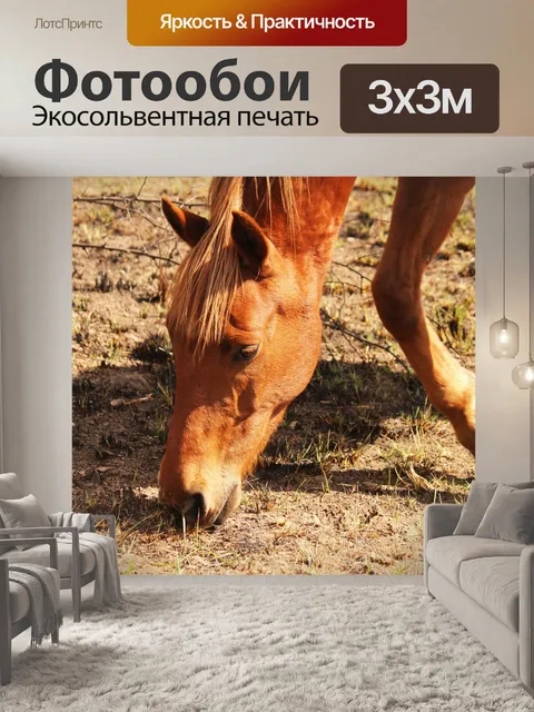 Фотообои коричневая лошадь пасется