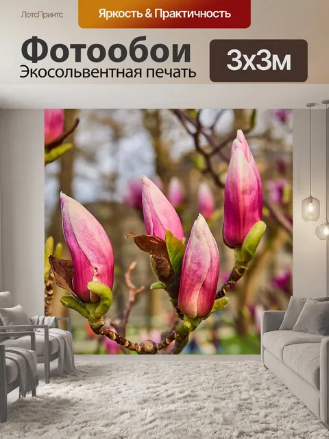 Фотообои Тюльпан магнолия