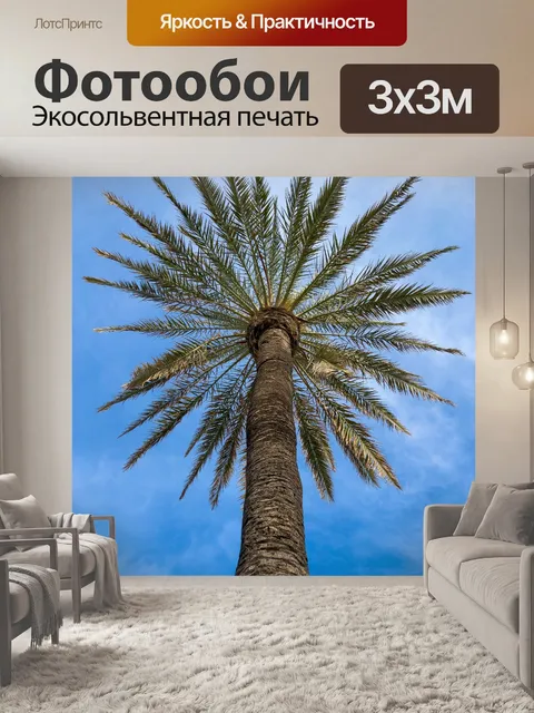 Фотообои Пальма против неба