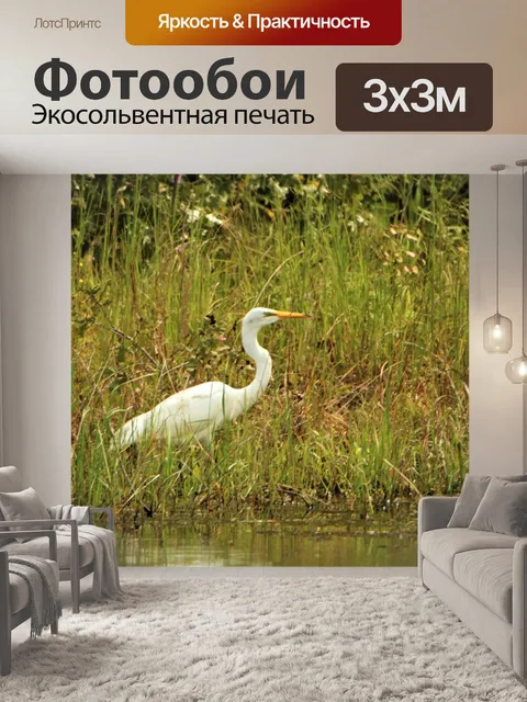 Фотообои Большая белая цапля в высокой траве