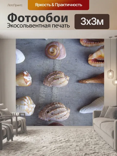 Фотообои Шесть морских раковин