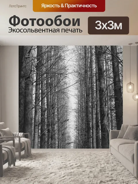 Фотообои Черно белое изображение