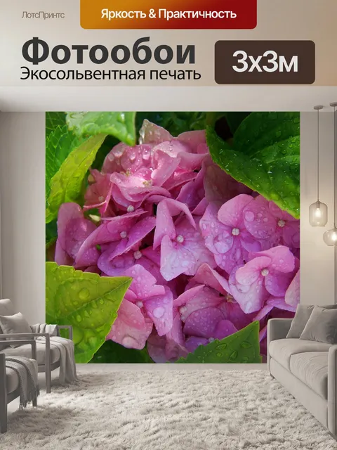 Фотообои Дождевая гортензия