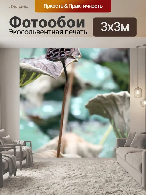 Фотообои Сухие плоды лотоса и листьев