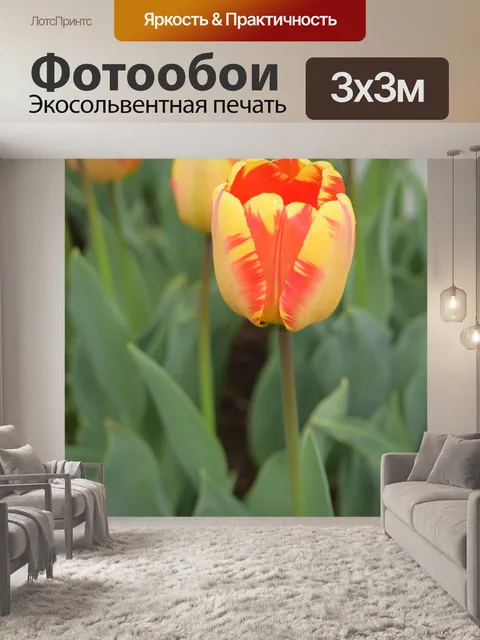 Фотообои Желтый